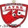 Muie Dinamo,haide Steaua ! - Cine tine cu dinamo e la baie cine tine cu steaua - Poze